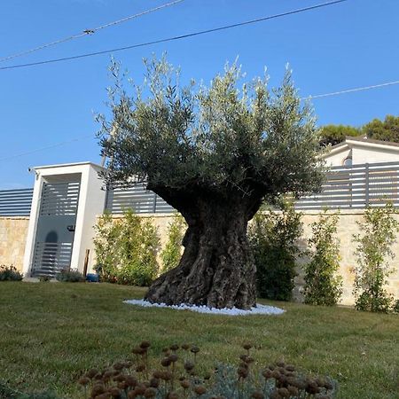 Villa Palladino Rooms Giovinazzo Ngoại thất bức ảnh